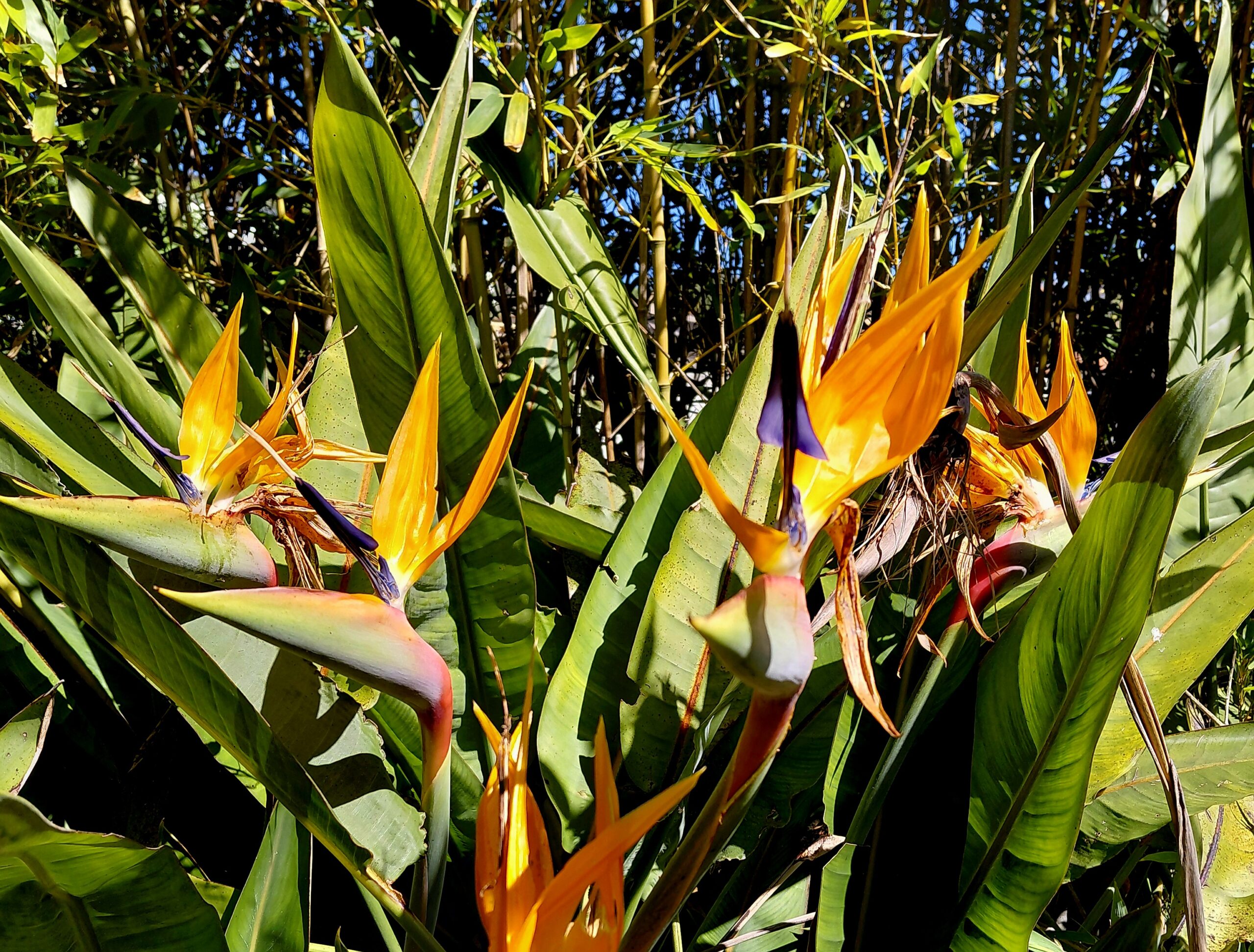 20260330_121202(1)(1)